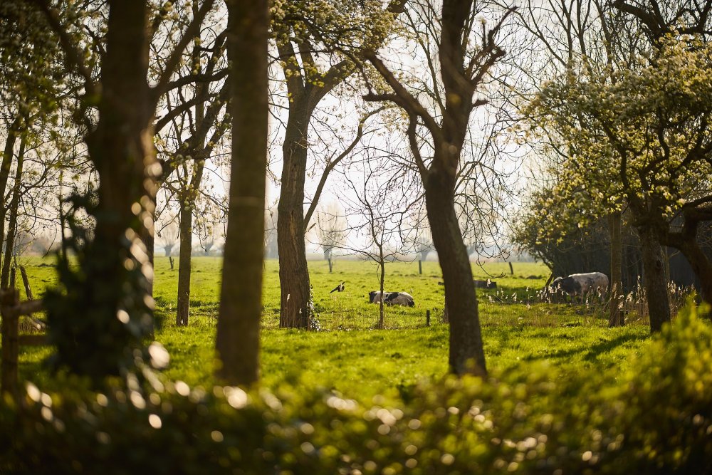 Masonry gallery image